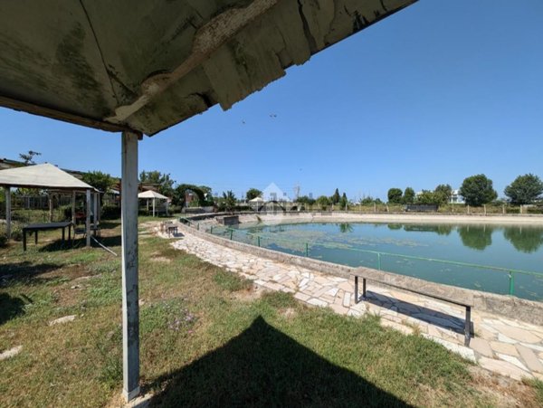 negozio in vendita a Santa Maria Capua Vetere