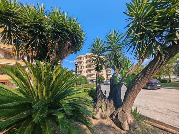 appartamento in vendita a Santa Maria Capua Vetere