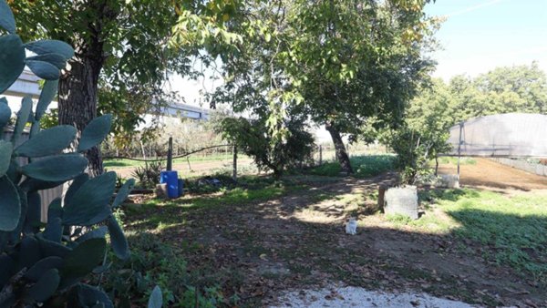terreno agricolo in vendita a Santa Maria Capua Vetere