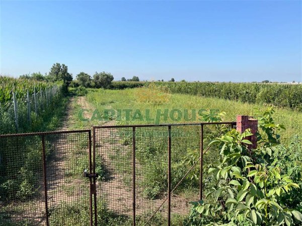 terreno agricolo in vendita a Santa Maria Capua Vetere