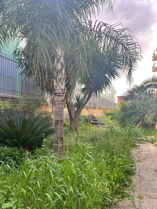 appartamento in vendita a Santa Maria Capua Vetere