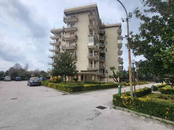 appartamento in vendita a Santa Maria Capua Vetere