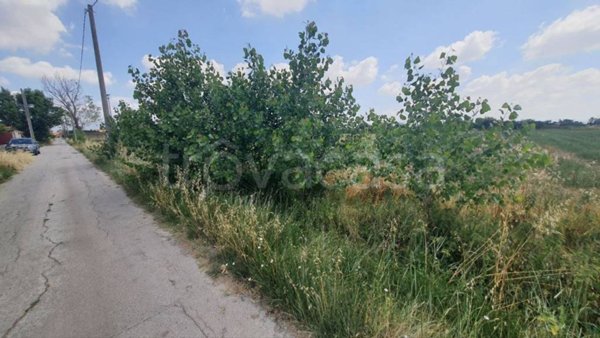 terreno agricolo in vendita a Santa Maria la Fossa