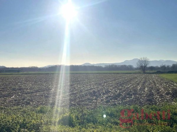 terreno agricolo in vendita a San Tammaro