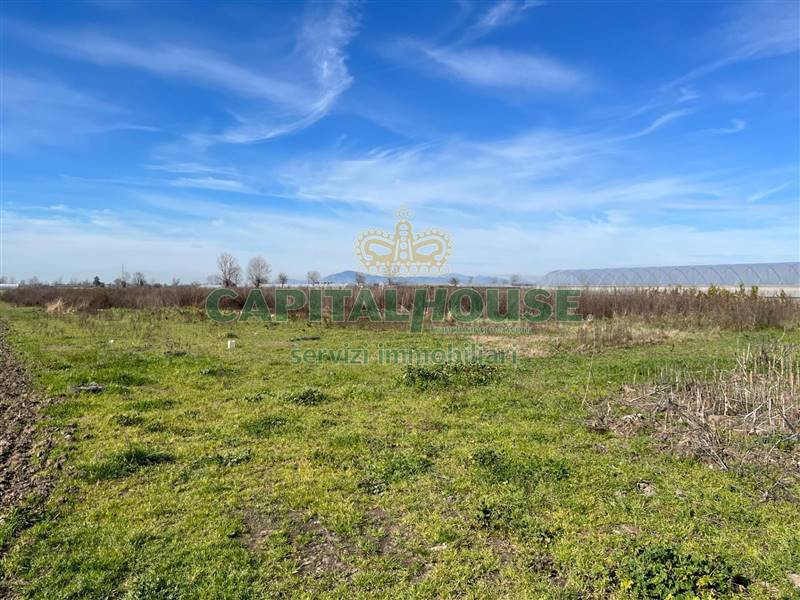 terreno agricolo in vendita a San Tammaro