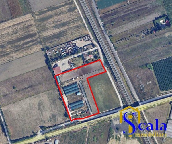 terreno agricolo in vendita a San Tammaro in zona Carditello