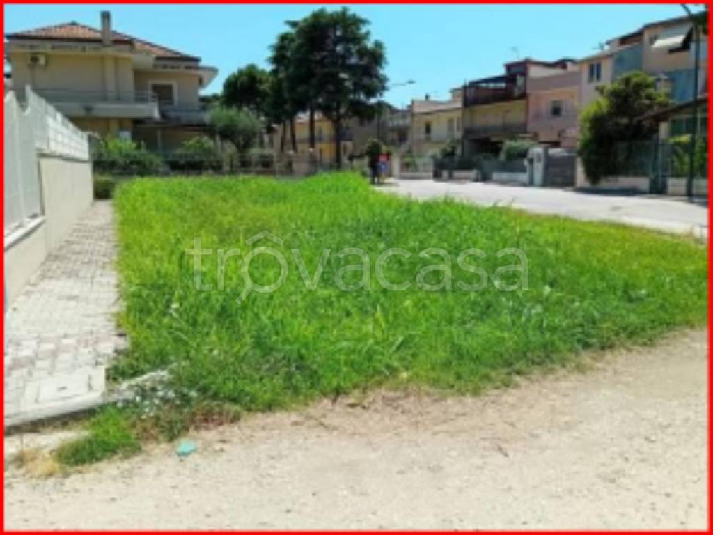 terreno agricolo in vendita a San Tammaro