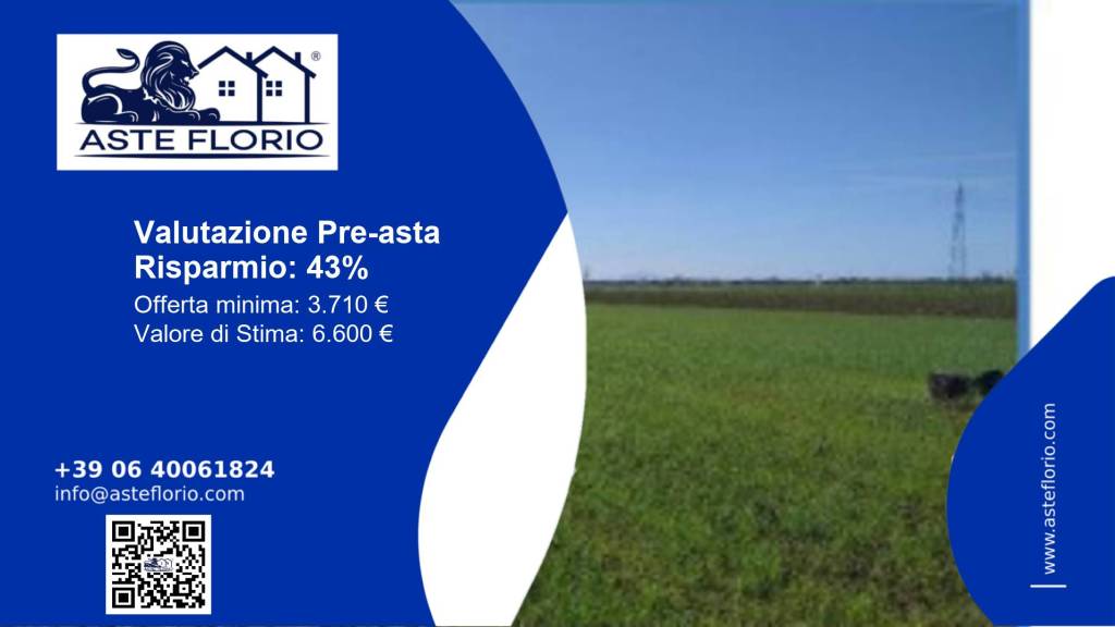 terreno agricolo in vendita a San Tammaro