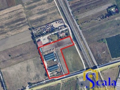 terreno agricolo in vendita a San Tammaro in zona Carditello