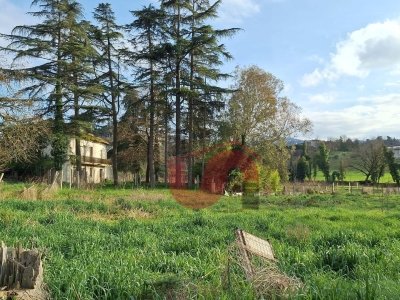 casa indipendente in vendita a San Tammaro