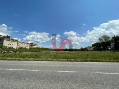 terreno agricolo in vendita a San Tammaro