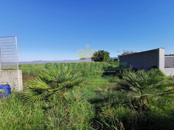 casa indipendente in vendita a San Tammaro