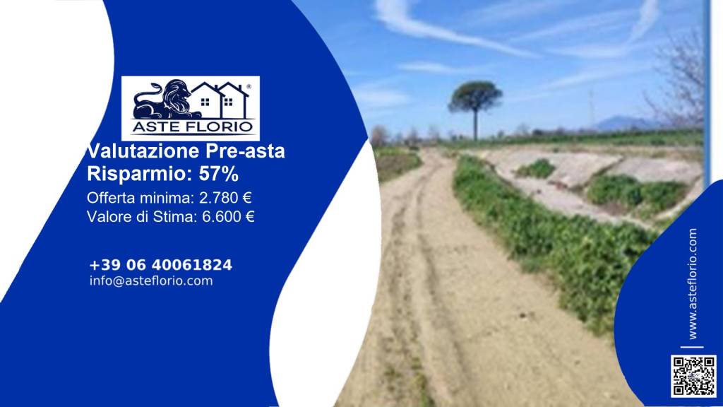 terreno agricolo in vendita a San Tammaro