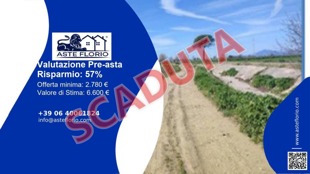 terreno agricolo in vendita a San Tammaro