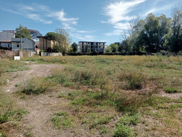 terreno agricolo in vendita a San Tammaro