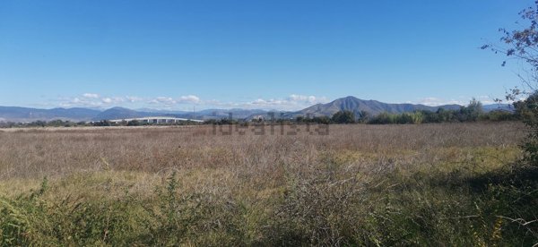 terreno agricolo in vendita a San Tammaro