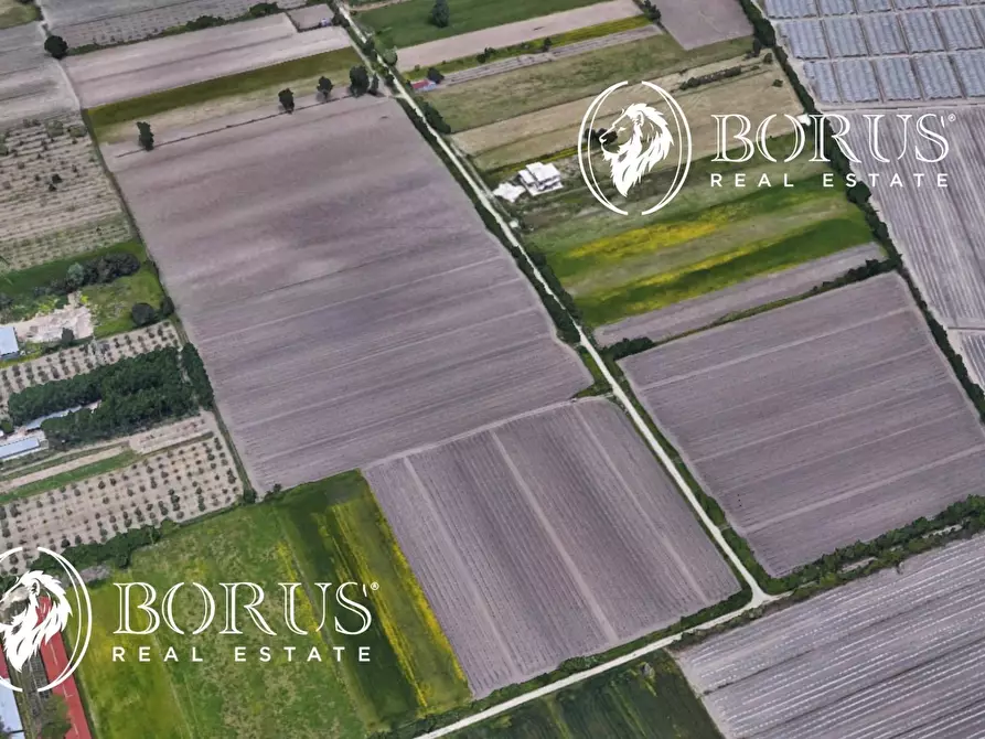 terreno agricolo in vendita a San Tammaro