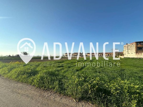 terreno agricolo in vendita a San Tammaro