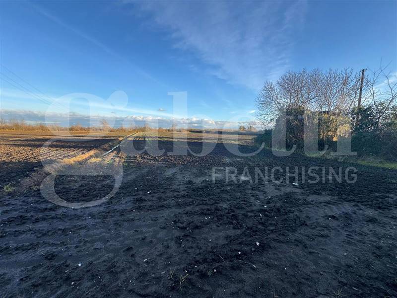 terreno agricolo in vendita a San Tammaro in zona Carditello