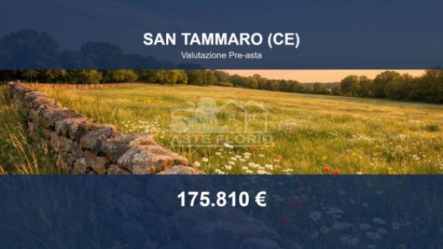 terreno agricolo in vendita a San Tammaro