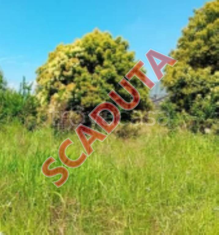 terreno in vendita a San Tammaro