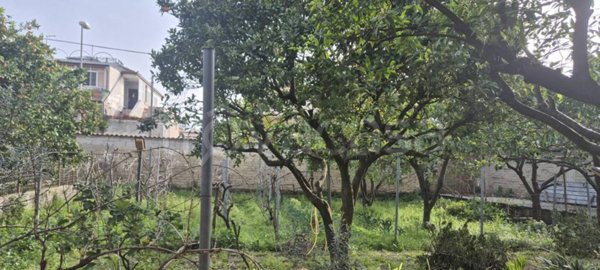 appartamento in vendita a San Tammaro