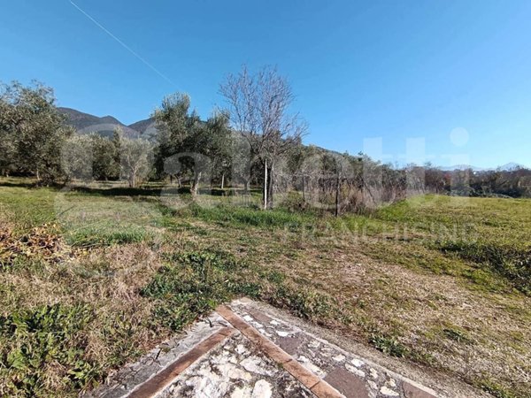 terreno agricolo in vendita a Sant'Angelo d'Alife