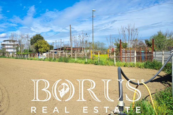 terreno agricolo in vendita a Sant'Arpino