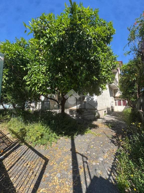appartamento in vendita a Sant'Arpino