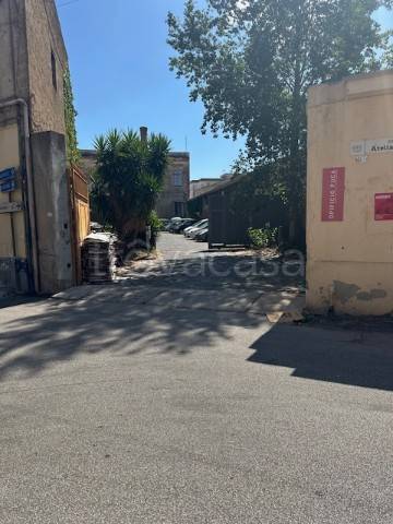 esavano in vendita a Sant'Arpino