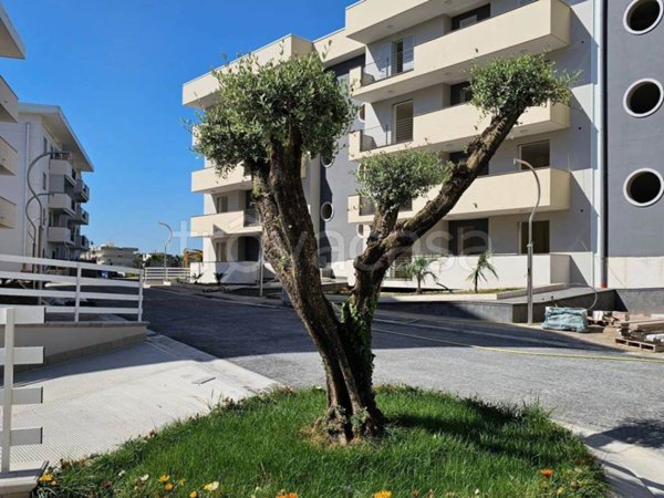 appartamento in vendita a Sant'Arpino