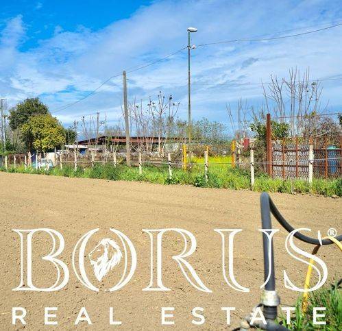 terreno agricolo in vendita a Sant'Arpino