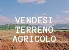 terreno agricolo in vendita a Sant'Arpino