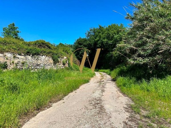 terreno agricolo in vendita a Sessa Aurunca in zona Ponte