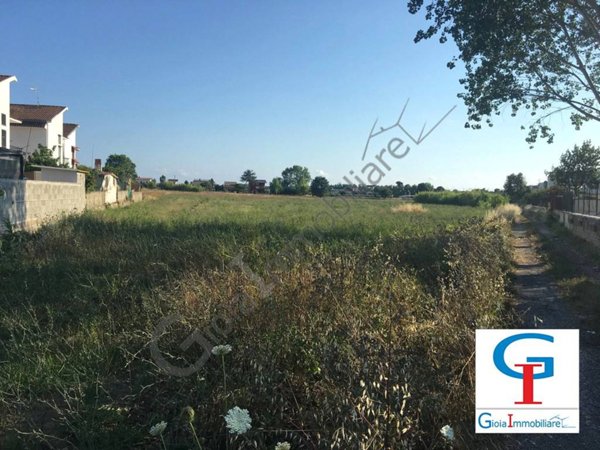 terreno agricolo in vendita a Sessa Aurunca in zona Baia Domizia