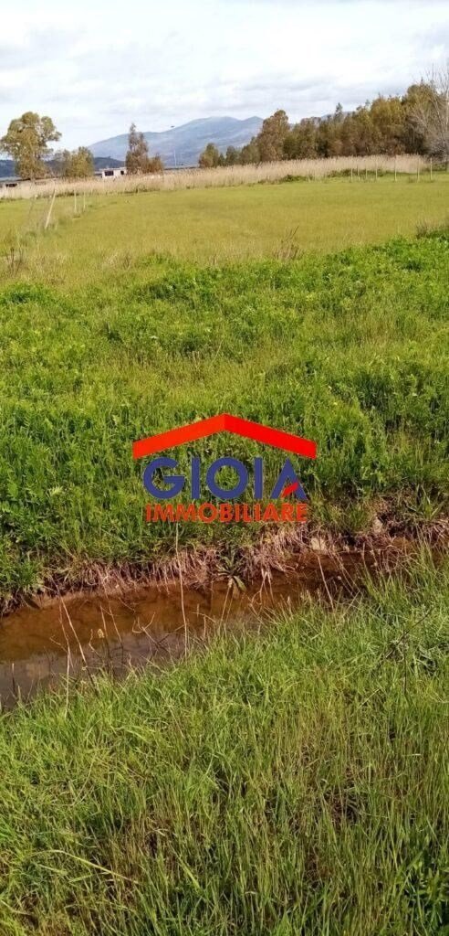 terreno agricolo in vendita a Sessa Aurunca in zona Ponte