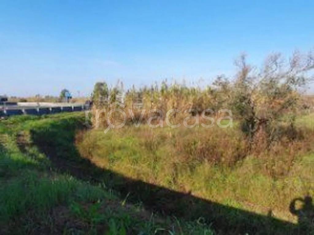 terreno agricolo in vendita a Sessa Aurunca