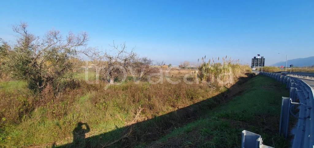 terreno agricolo in vendita a Sessa Aurunca