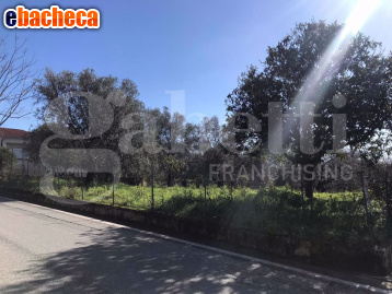 terreno edificabile in vendita a Sessa Aurunca in zona Lauro