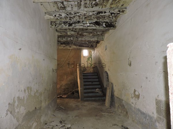 esavano in vendita a Sessa Aurunca