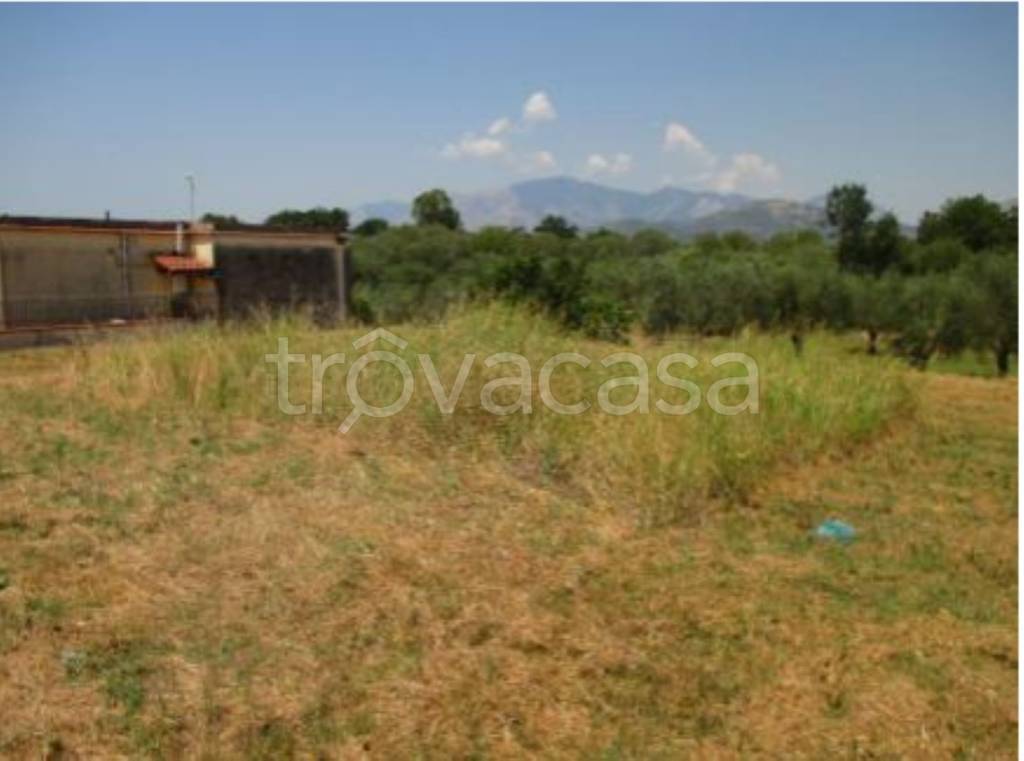 terreno agricolo in vendita a Sessa Aurunca in zona San Castrese