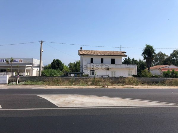 esavano in vendita a Sessa Aurunca