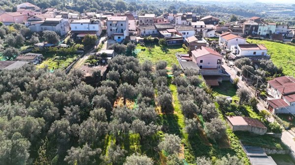 terreno agricolo in vendita a Sessa Aurunca in zona Corigliano