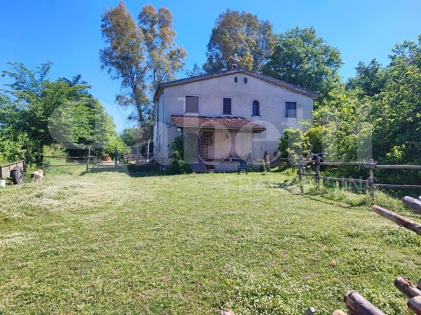 negozio in vendita a Sessa Aurunca in zona Gusti