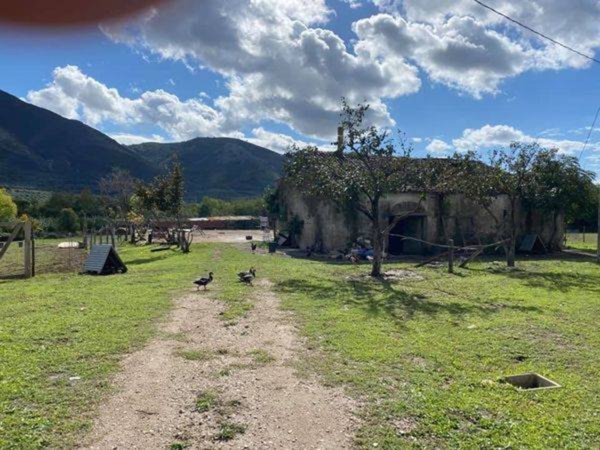 terreno agricolo in vendita a Sessa Aurunca in zona Baia Domizia