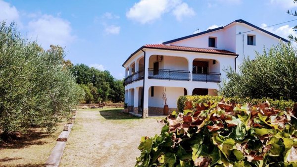 casa indipendente in vendita a Sessa Aurunca in zona Piedimonte