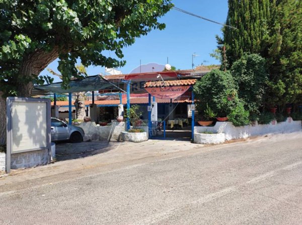 negozio in vendita a Sessa Aurunca in zona Ponte