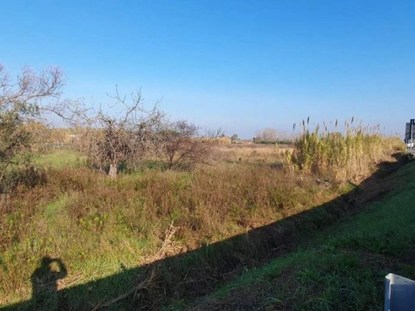 terreno agricolo in vendita a Sessa Aurunca
