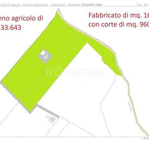 terreno agricolo in vendita a Sessa Aurunca in zona Lauro