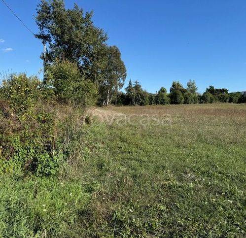 terreno agricolo in vendita a Sessa Aurunca in zona Fasani